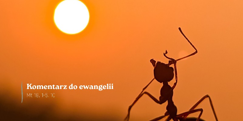 Komentarz do Ewangelii - 2 października 2026