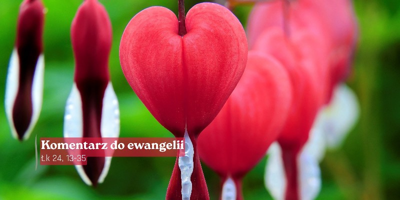 Komentarz do Ewangelii - 19 kwietnia 2026
