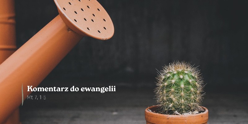 Komentarz do Ewangelii - 22 czerwca 2026