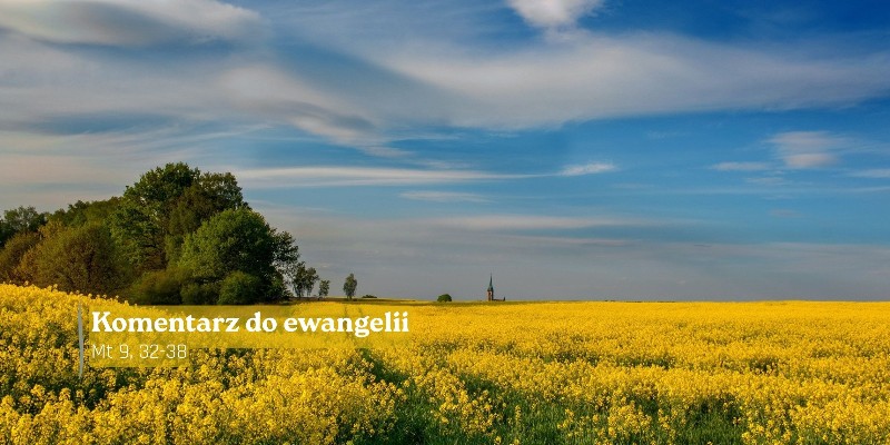 Komentarz do Ewangelii - 7 lipca 2026