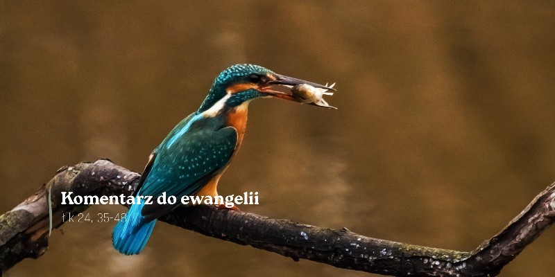 Komentarz do Ewangelii - 9 kwietnia 2026