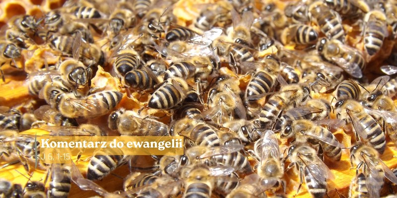 Komentarz do Ewangelii - 17 kwietnia 2026