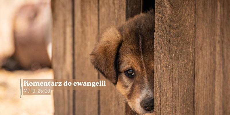 Komentarz do Ewangelii - 21 czerwca 2026