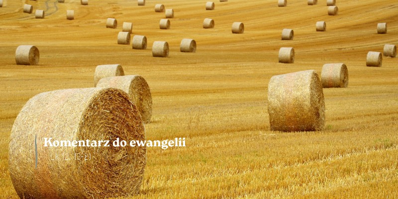 Komentarz do Ewangelii - 19 października 2026