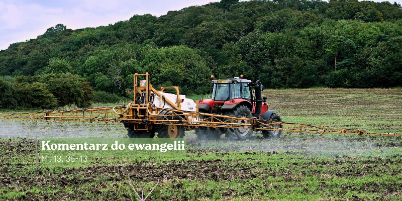 Komentarz do Ewangelii - 28 lipca 2026