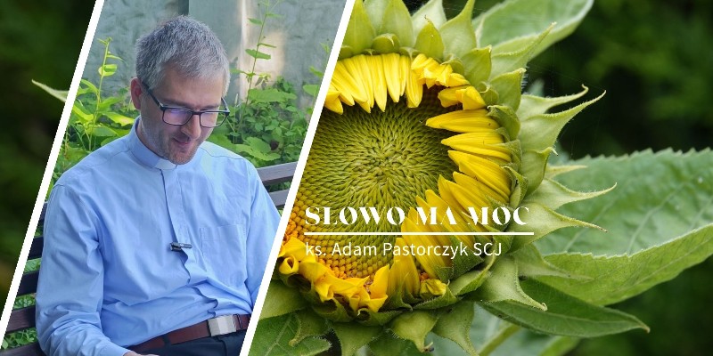 Słowo Ma Moc - rozważanie Ewangelii, XVI niedziela zwykła