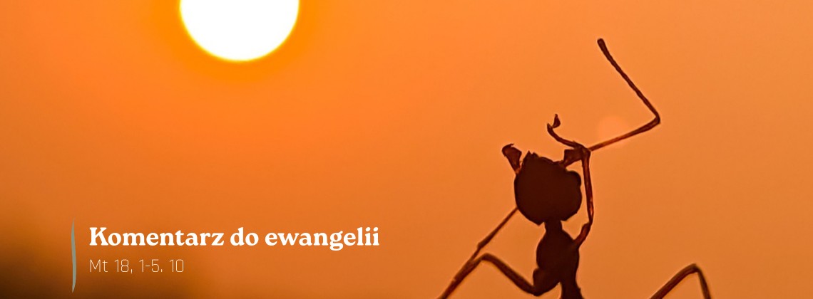 Komentarz do Ewangelii - 2 października 2026