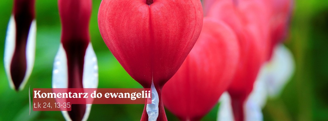 Komentarz do Ewangelii - 19 kwietnia 2026