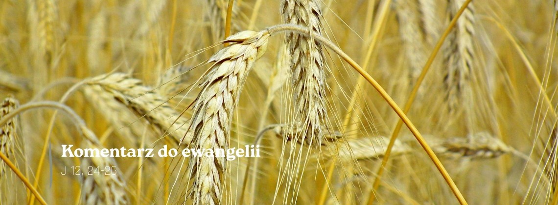 Komentarz do Ewangelii - 23 kwietnia 2026