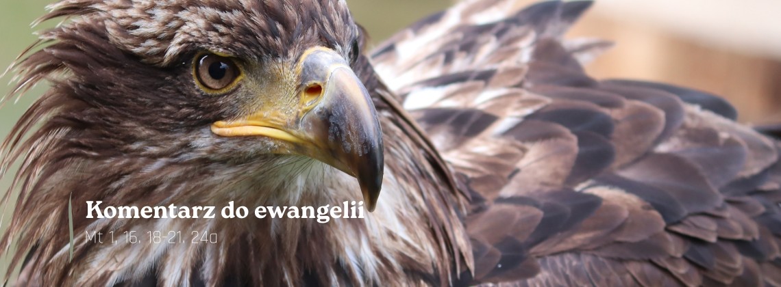 Komentarz do Ewangelii - 19 marca 2026