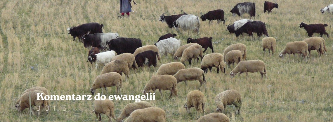 Komentarz do Ewangelii - 8 maja 2026