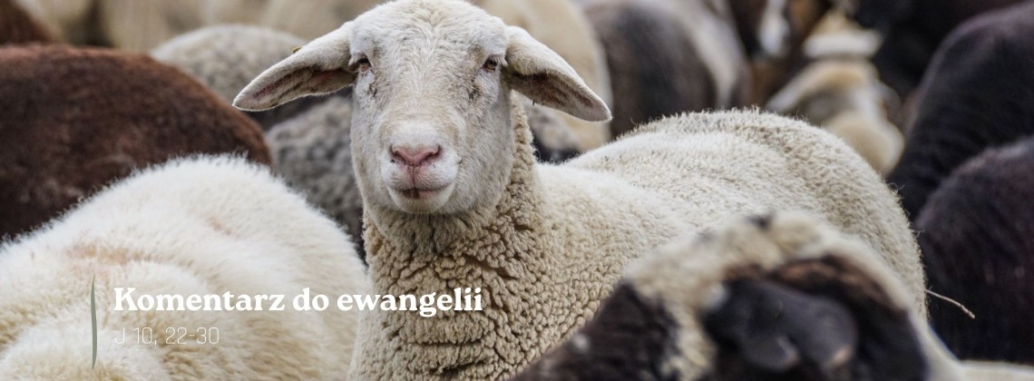 Komentarz do Ewangelii - 28 kwietnia 2026