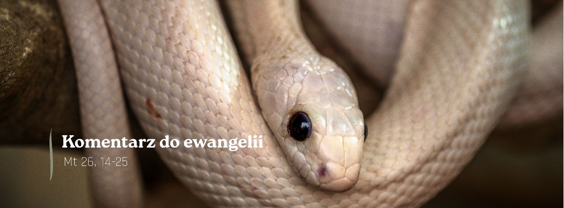 Komentarz do Ewangelii - 1 kwietnia 2026
