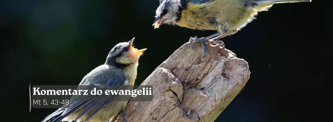Komentarz do Ewangelii - 28 lutego 2026