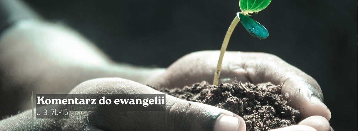 Komentarz do Ewangelii - 14 kwietnia 2026