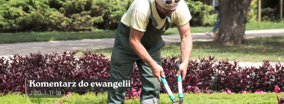Komentarz do Ewangelii -22 lipca 2026